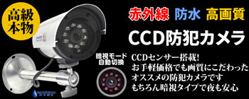 高級本物CCD防犯カメラ