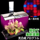 植物育成LEDライトシステム【Kitchen Garden】