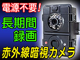 屋外用監視録画トレイルカメラ【AC-821】